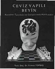 Ceviz Yapılı Beyin