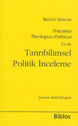 Tanrıbilimsel Politik İnceleme