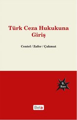 Türk Ceza Hukukuna Giriş