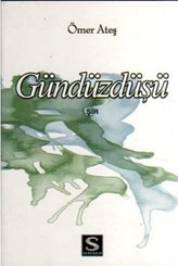 Gündüzdüşü