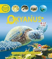 Yaşam Döngüsü: Okyanus