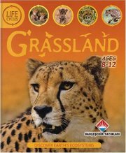 Life Cycles - Grassland