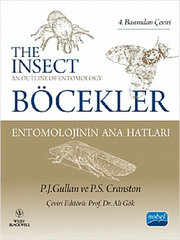 Böcekler Entomolojinin Ana Hatları