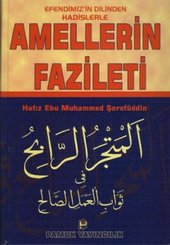 Efendimiz'in Dilinden Hadislerle Amellerin Fazileti (Hadis-007/P28)