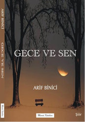 Gece ve Sen
