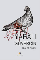 Yaralı Güvercin