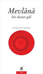 Bir Demet Gül