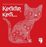 Kedidir Kedi