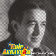 Edip Akbayram Unutamadıklarım Plak