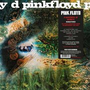 A Saucerful Of Secrets Plak