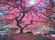 Anatolian 1037 Pink Tree 1000 Parça Puzzle
