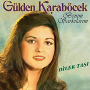 Benim Şarkılarım - Dilek Taşı Plak