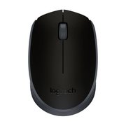 Logitech M171 USB Alıcılı Kablosuz Kompakt Mouse - Siyah