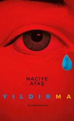 Yıldırma-Bir Mobbing Romanı