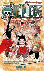 One Piece 43.Cilt-Bir Kahramanın Efsanesi