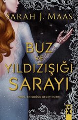 Dikenler Ve Güller Sarayı 3.5 – Buz Ve Yıldı doğrulanmış Türkçe kitap kapağı