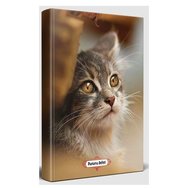 Halk Minik Kedi  Planlama Defteri