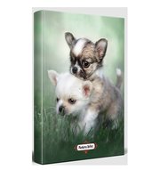 Halk Minik Dostlar Süresiz Planlama Defteri