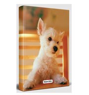 Halk Pamuk Şeker Süresiz Planlama Defteri