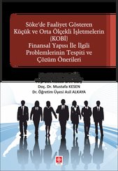 Söke'de Faaliyet Gösteren Küçük ve Orta Ölçekli işletmelerin (KOBİ) Finansal Yapısı ile İlgili Problemler