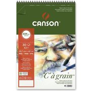 Canson Cancag 30 Yaprak A3 224G Eskiz Bloğu