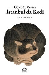 İstanbul'da Kedi - Şiir Roman