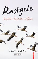 Rastgele - Leylekler Kozalaklar ve Düşler