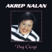 Dağ Çiçeği