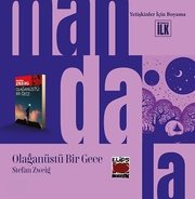 Mandala Dünyası-Olağanüstü Bir Gece - Yetişkinler İçin Boyama