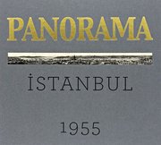 Bir İstanbul Panoraması 1955 - And Istanbul Panorama 1955 (Gri)