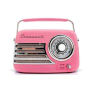 Crown Well CW021-P Nostajik Radyo, Pembe