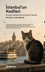 İstanbulun Kedileri doğrulanmış Türkçe kitap kapağı