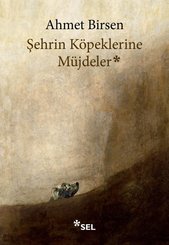 Şehrin Köpeklerine Müjdeler doğrulanmış Türkçe kitap kapağı