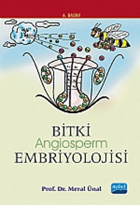 Bitki Angiosperm Embriyolojisi