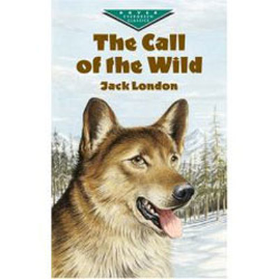 The Call of The Wild - Level 4