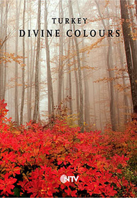 Turkey - Divine Colors
