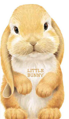 Little Bunny (Look at Me Books) (Board book)