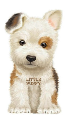 Little Puppy (Look at Me Books) (Board book)