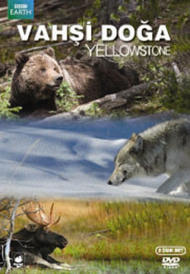 Yellowstone - Vahşi Doğa: Yellowstone