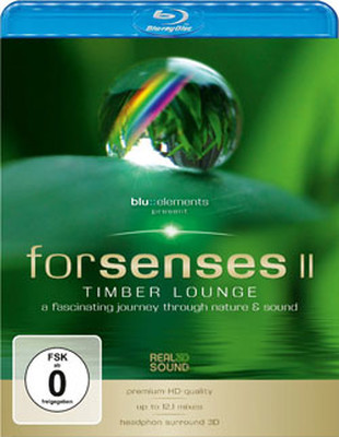 Forsenses II