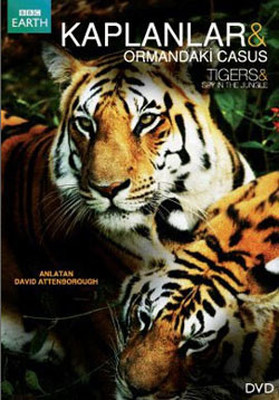 Tiger: Spy In The Jungle - Kaplanlar: Ormandaki Casus