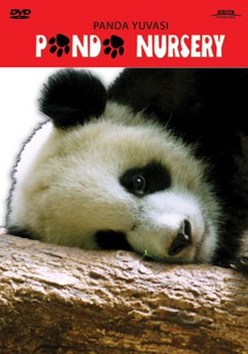 Panda Nursery - Panda Yuvası