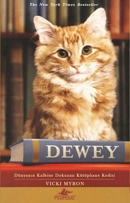 Dewey - Dünyanın Kalbine Dokunan Kütüphane Kedisi