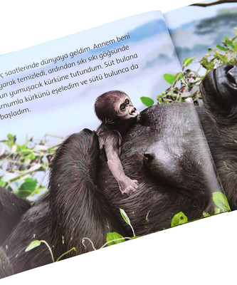 Animal Planet Doğadaki Vahşi Yaşamım Goril