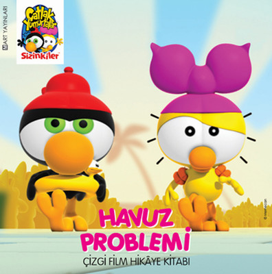 Havuz Problemi