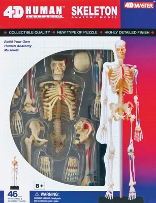 4D Master Insan Anatomisi Puzzle - Insan Iskeleti Modeli