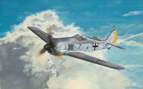 Revell Flying Bulls Focke Wulf 4917