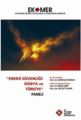 Enerji Güvenliği: Dünya ve Türkiye Paneli 2010