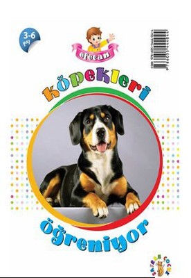 Efecan Köpekleri Öğreniyor