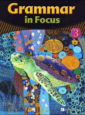 Grammar in Focus 3 with Workbook + CD